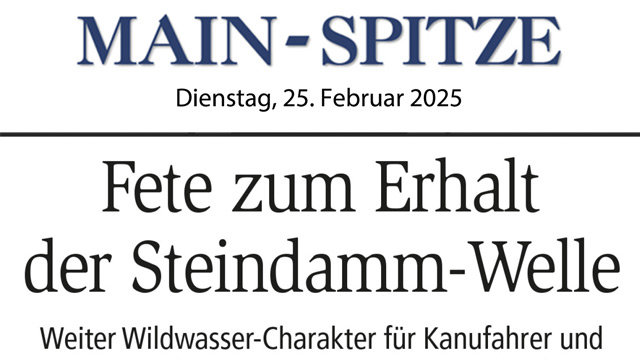 Zeitungsbericht Fete zum Erhalt der Steindamm-Welle